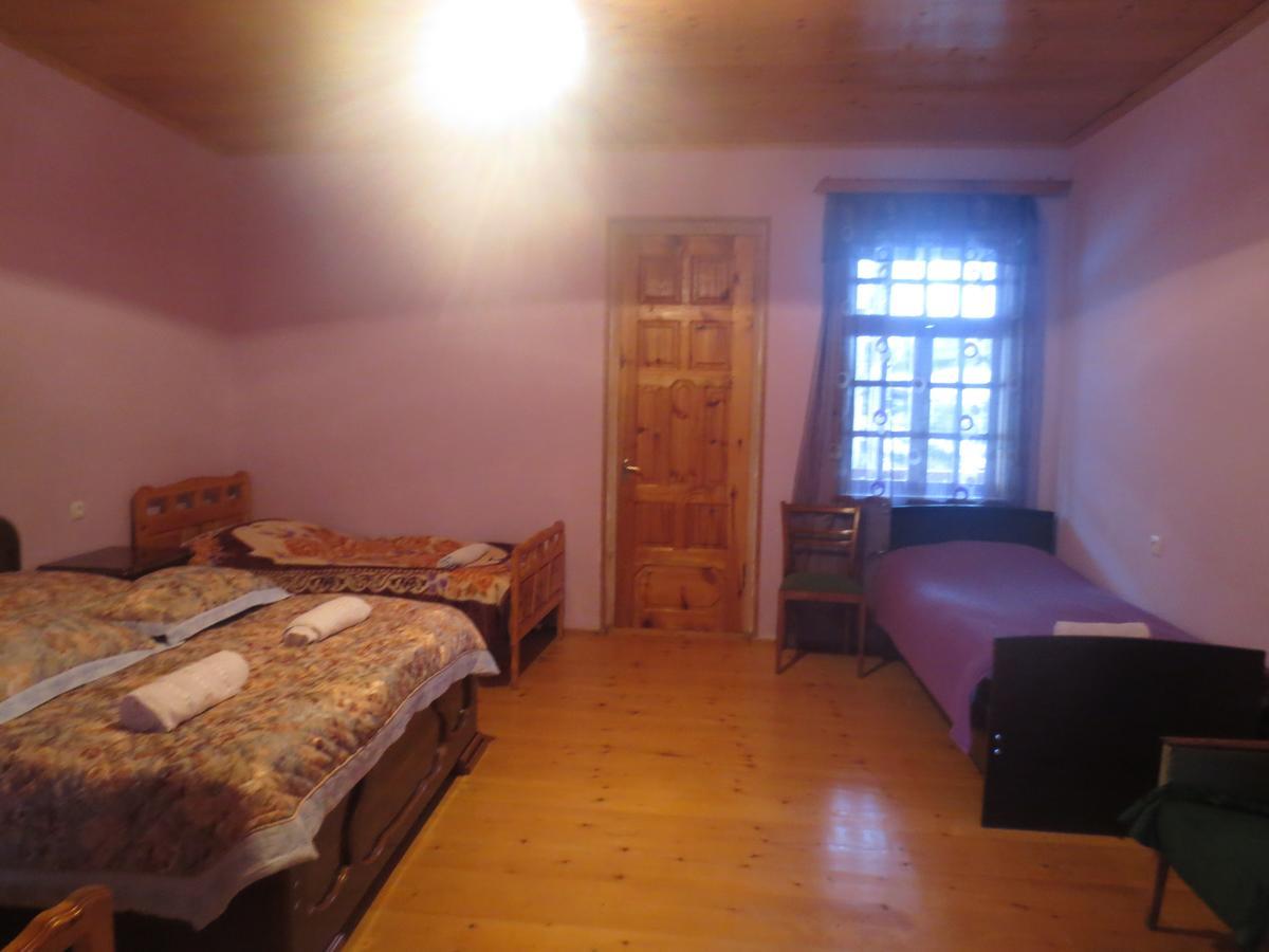 Irma Beso & Aleko Khergianis Guesthouse Местия Экстерьер фото
